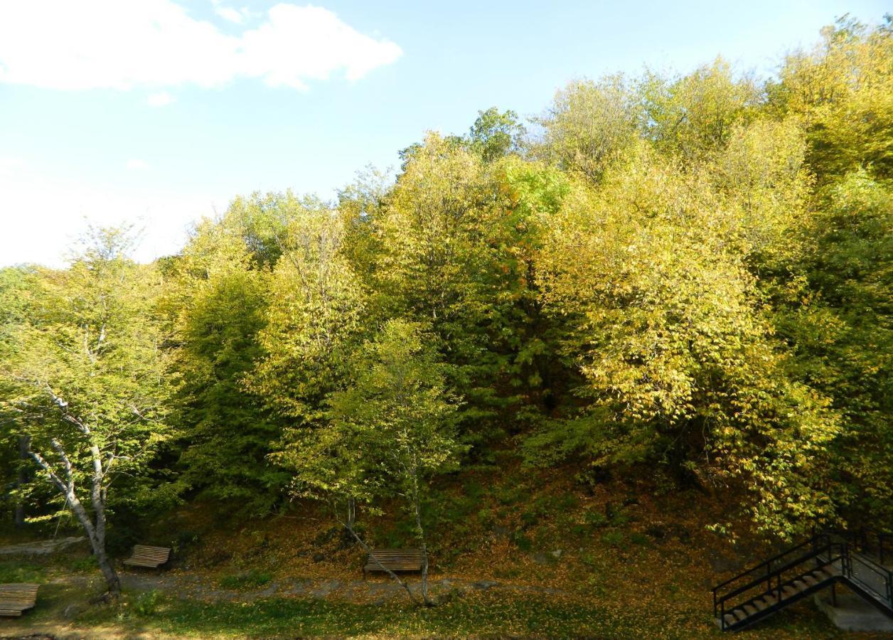 Tsaghkahovit Hotel Tsaghkadzor Luaran gambar