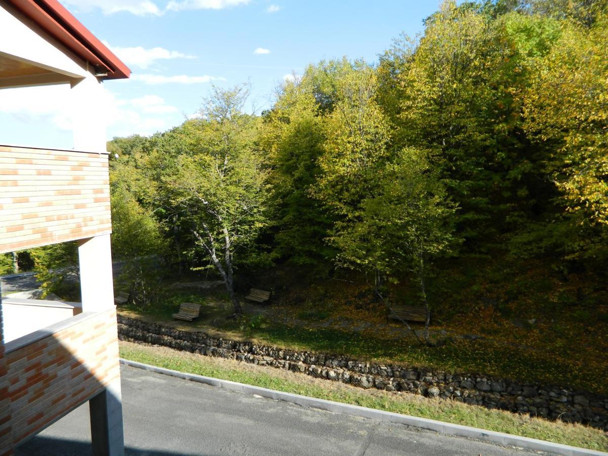 Tsaghkahovit Hotel Tsaghkadzor Luaran gambar